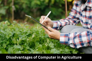 Disadvantages of Computer in Agriculture for Farmers’ Risks