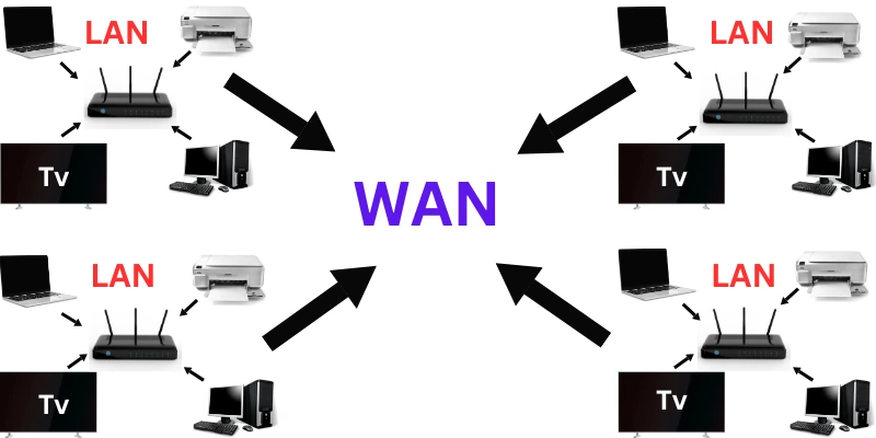 WAN 1